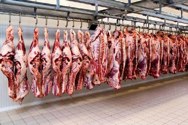 طرح قربانگاه برای نخستین بار در استان ایلام اجرا شد