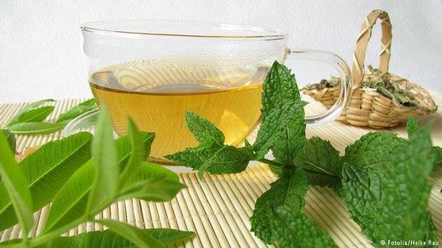 تنها روزی یک فنجان دمنوش بنوشید تنها روزی یک فنجان دمنوش بنوشید