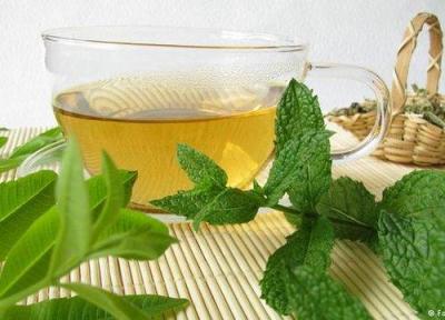تنها روزی یک فنجان دمنوش بنوشید