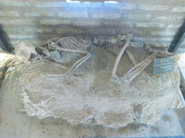 نمایش اسکلت 5500 ساله در موزه باستان شناسی نیشابور