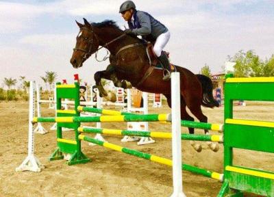 حدود 500 اسب ورزشی در زنجان وجود دارد