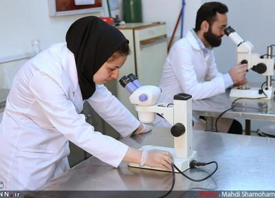 مرکز جامع ویروس شناسی پزشکی در واحد تهران مرکز دانشگاه آزاد ایجاد می گردد