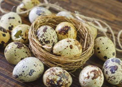 خواصی از سلامت تا زیبایی با تخم بلدرچین