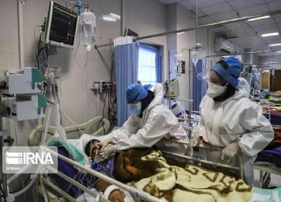خبرنگاران رئیس دانشگاه پزشکی شیراز:شمار مبتلایان کرونا در فارس نشانگر بحران است