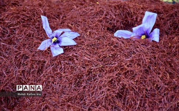 190 میلیون دلار زعفران ایرانی صادر شد