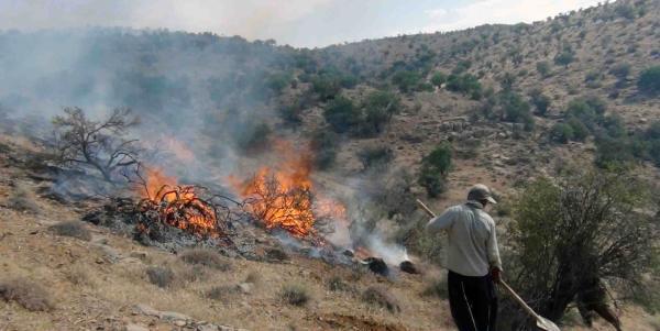 آتش همچنان دامن گیر طبیعت پاسارگاد: همراهی مردم فارس برای اطفاء حریق