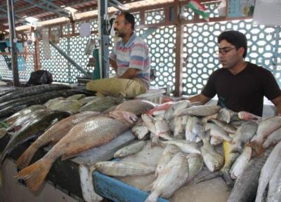 تازه ترین قیمت انواع ماهی در بازار تهران؛ 5 دی 1400