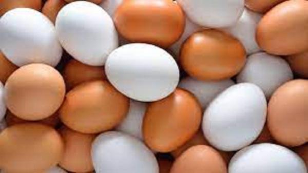 فراوری تخم مرغ در آذربایجان شرقی بیش از سرانه کشور
